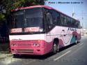 Ciferal Podium / Volvo B10M / Pullman Bus