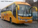 Maxibus Lince / Mercedes Benz  OF-1722 / Golondrina