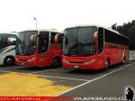 Unidades Comil Campione 3.45 / Mercedes Benz O-500RS / Pullman Bus - Servicio Especial