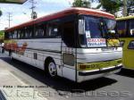 Mercedes Benz O-371RSL / Golondrina