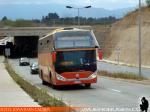 Zhong Tong Navigator LCK6137H / Palmira