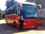 Noge Touring / Mercedes Benz OC-500 / Pullman Bus