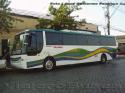 Busscar El Buss 340 / Mercedes Benz O-400RSE / Buses Golondrina