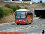 Irizar Century / Scania K124IB / Palmira