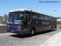 Busscar Jum Buss 340 / Scania K113 / Condor