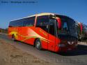 Irizar Century / Scania K124IB / Palmira