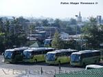 Unidades Marcopolo Andares Class 1000 - 850 / Tur-Bus