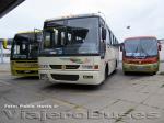 Flota de Buses GGO