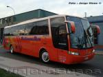 Busscar Vissta Buss LO / Mercedes Benz O-500RS / Pullman Bus