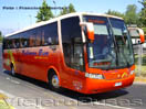 Busscar Vissta Buss LO / Mercedes Benz O-500RS / Pullman Bus