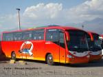 Irizar Century / Mercedes Benz O-500R / Buses JM