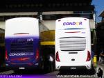 Modasa Zeus 3 / Mercedes Benz O-500RSD / Condor