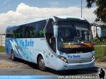 Zhong Tong LCK6107H / Palmira