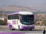 Marccopolo Paradiso G7 1200 / Mercedes Benz O-500RSD / Condor Bus