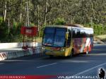 Busscar Vissta Buss LO / Mercedes Benz O-500R / Jota Ewert