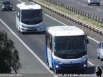 Marcopolo New Senior / Mercedes Benz LO-916 / Stock