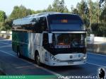 Zhong Tong LCK6137 / CruzMar