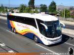 Buses Peñablanca / Ruta 5 Sur