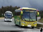 Sol de Lebu - Buses Jeldres / Ruta 160