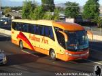 Unidades Marcopolo Paradiso G7 1050 / Pullman Sur