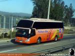 Zhong Tong LCK6137 / Pullman Bus