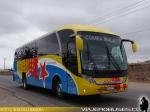 Neobus New Road N10 360 / Mercedes Benz OF-1724 / Expreso Rojas