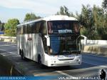 Comil Campione 4.05HD / Scania K420 / Pullman Santa Maria