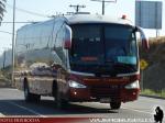 Unidades Irizar / Buses Hualpen