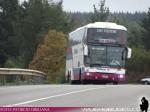 Comil Campione 4.05HD / Mercedes Benz O-500RSD / Pullman JC