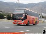 Zhong Tong LCK6137 / Pullman Paravias