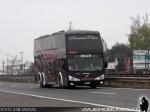 Modasa New Zeus II / Volvo B420R / Talca Paris y Londres