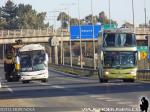 Tur-Bus - Igi Llaima / Ruta 5 Sur