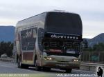 Youngman JPN6137SE / Pullman Bus - Marcas Asociadas