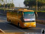 Higer / Interbus