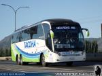 Neobus New Road N10 380 / Scania K400 / Tacoha