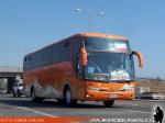 Marcopolo Paradiso 1200 / Mercedes Benz O-400RSE / Intercomunal