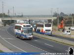 Unidades Scania - Mercedes Benz / Buses Diaz - Ruta 5 Sur
