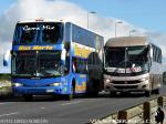 Unidades Marcopolo en Ruta 5 Sur / Bus Norte - Via Lago Sur