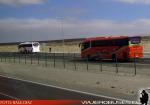 Unidades Irizar i6 / Pullman del Norte - SRT Cielo