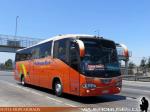 Irizar Century / Scania K124IB / Pullman Bus