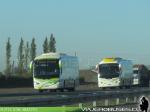 Unidades Irizar / Buses Amistad