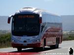 Irizar i6s 3.90 / Mercedes Benz O-500RSD / Buses JM