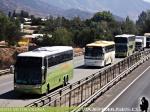 Unidades Mercedes Benz / Tur-Bus - Cejer