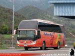 Zhong Tong LCK6137 / Pullman Bus