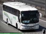 Comil Campione 3.25 / Mercedes Benz OF-1722 / Buses HS