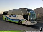 Neobus New Road N10 380 / Scania K400 / Tacoha