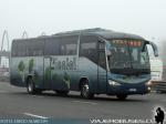 Irizar Century / Mercedes Benz O-500RS / Linatal