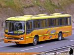 Maxibus Dolphin Class / Mercedes Benz OF-1721 / Particular