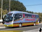 Irizar I6 / Mercedes Benz / Cruz del Sur