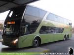 Modasa Zeus II - New Zeus III - Busscar Vissta Buss LO / Mercedes Benz O-400RSL - O-500RS - O-500RSD / Tur-Bus